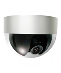 analog-dome-standartkamera.jpg