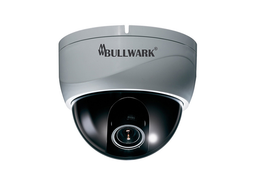 Bullwark BLW 6580WDR D Dome Kamera